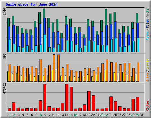Daily usage for June 2024
