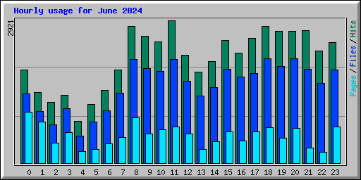 Hourly usage for June 2024