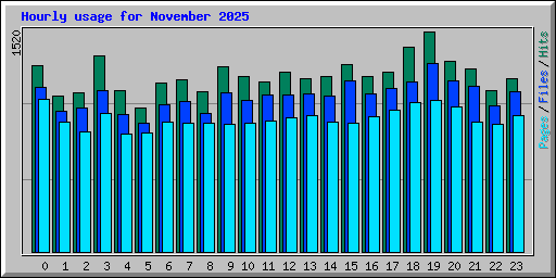Hourly usage for November 2025