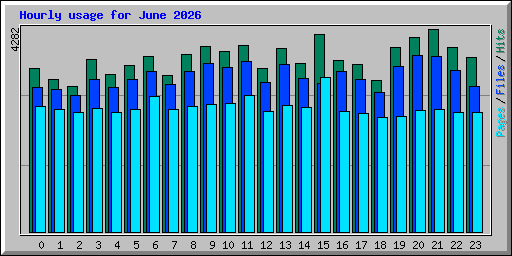 Hourly usage for June 2026