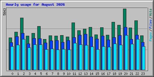 Hourly usage for August 2026